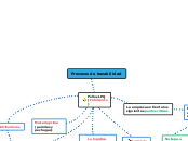 Mapa conceptual-proceso de trazabilidad