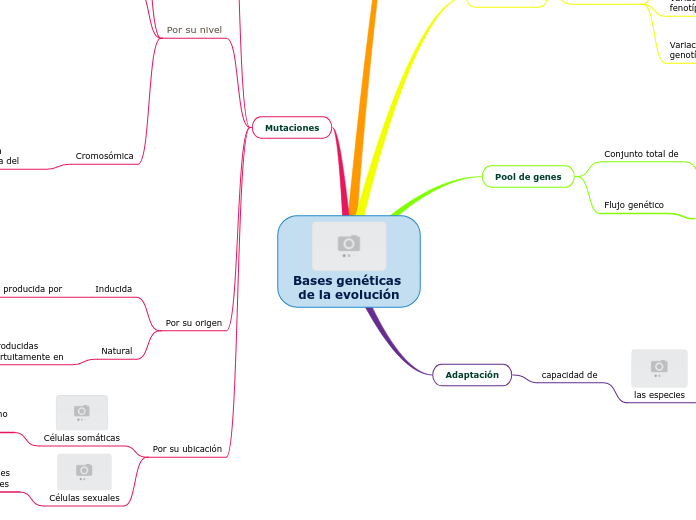 Bases genéticas de la evolución