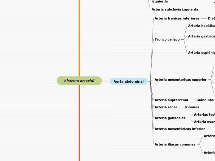 Sistema arterial