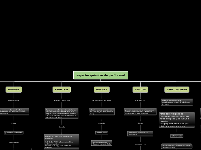 aspectos quimicos de perfil renal