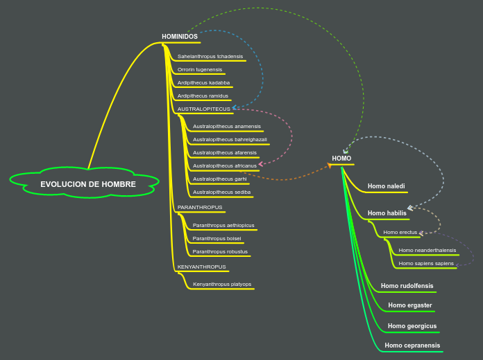 EVOLUCION DE HOMBRE