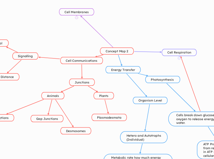 Concept Map 2