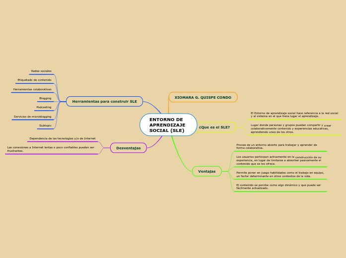 ENTORNO DE APRENDIZAJE SOCIAL (SLE)