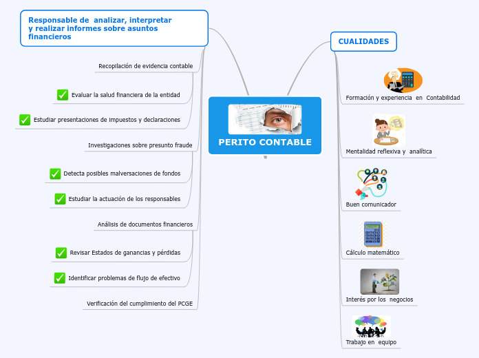 PERITO CONTABLE