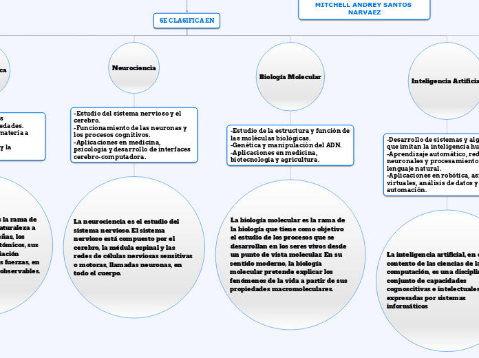 Organigrama arbol