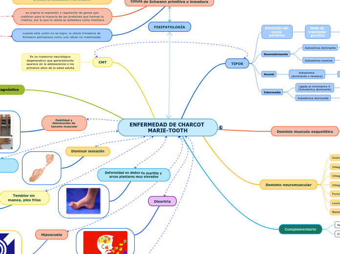 ENFERMEDAD DE CHARCOT MARIE-TOOTH