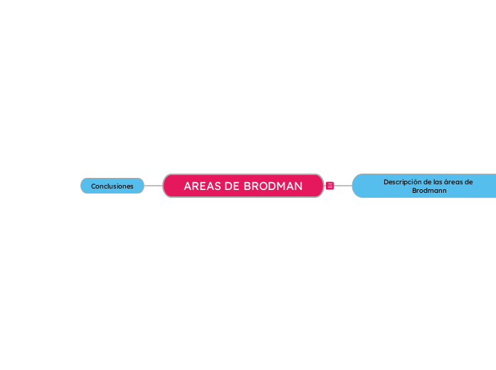 AREAS DE BRODMAN