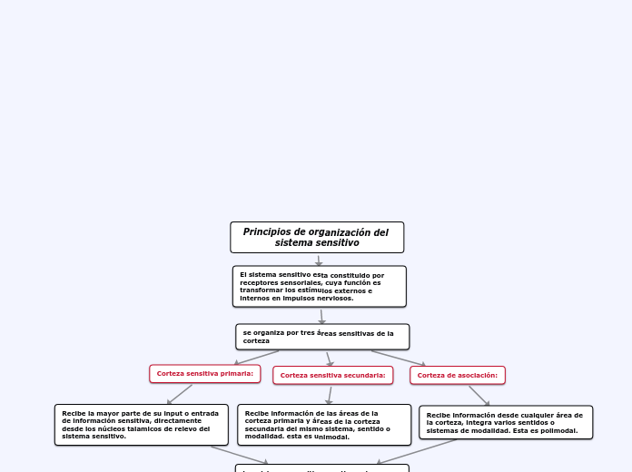 Principios de organización del sistema sensitivo