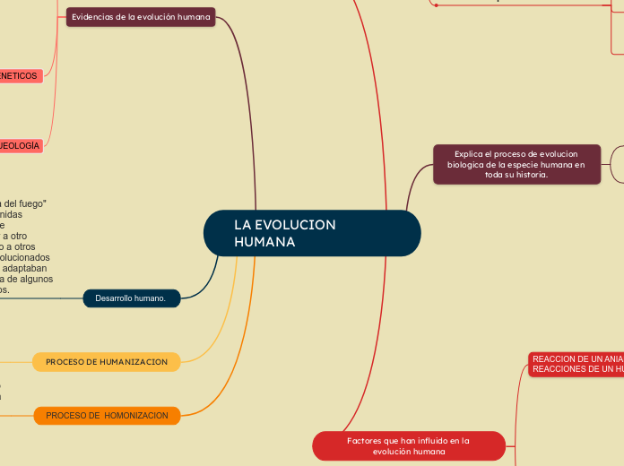 LA EVOLUCION HUMANA . Mapa Conceptual 