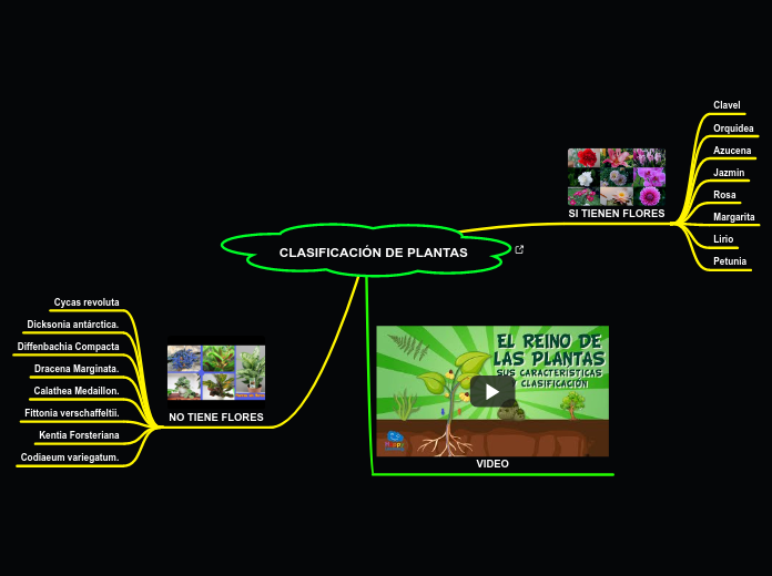 CLASIFICACIÓN DE PLANTAS