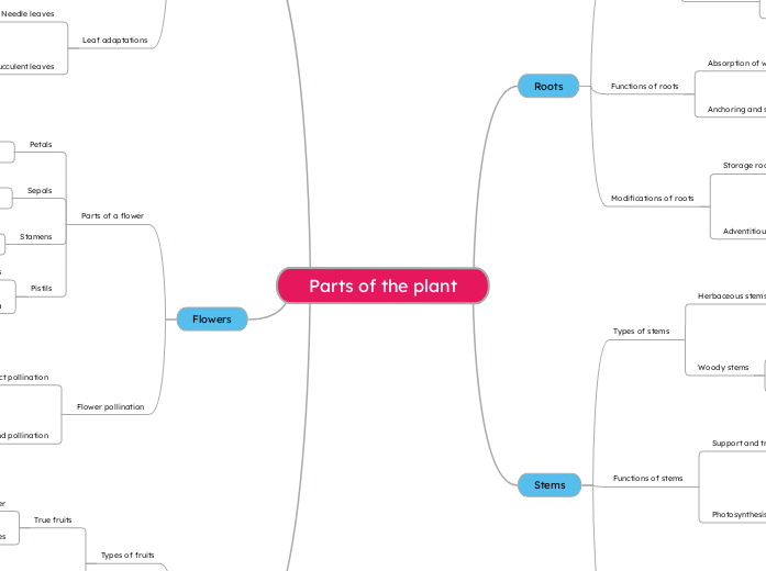 Parts of the plant