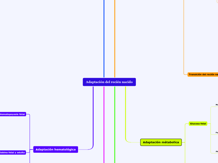Adaptación del recién nacido
