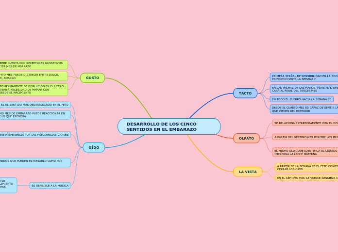 DESARROLLO DE LOS CINCO SENTIDOS EN EL EMBARAZO