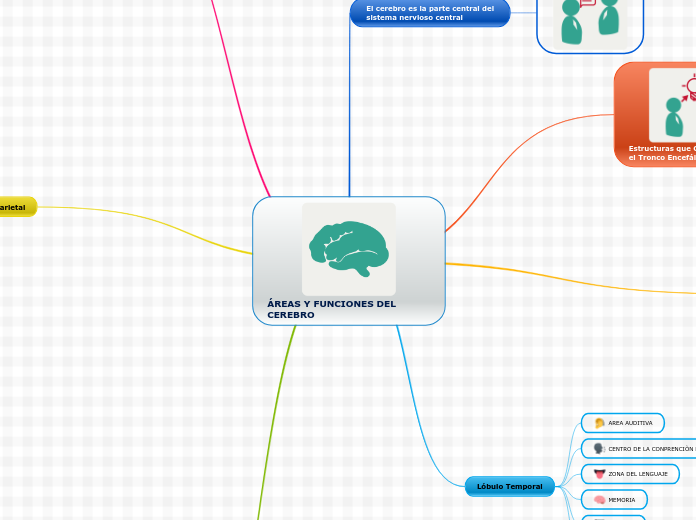 ÁREAS Y FUNCIONES DEL CEREBRO