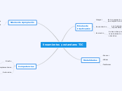 lineamientos y estandares TIC