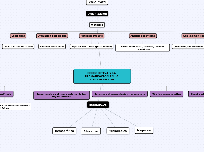 PROSPECTIVA Y LA PLANANEACION EN LA ORGANIZACION