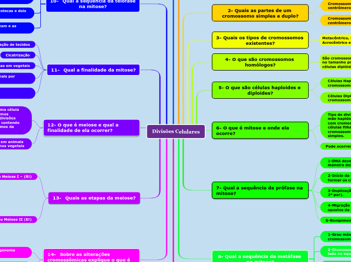 Divisões Celulares