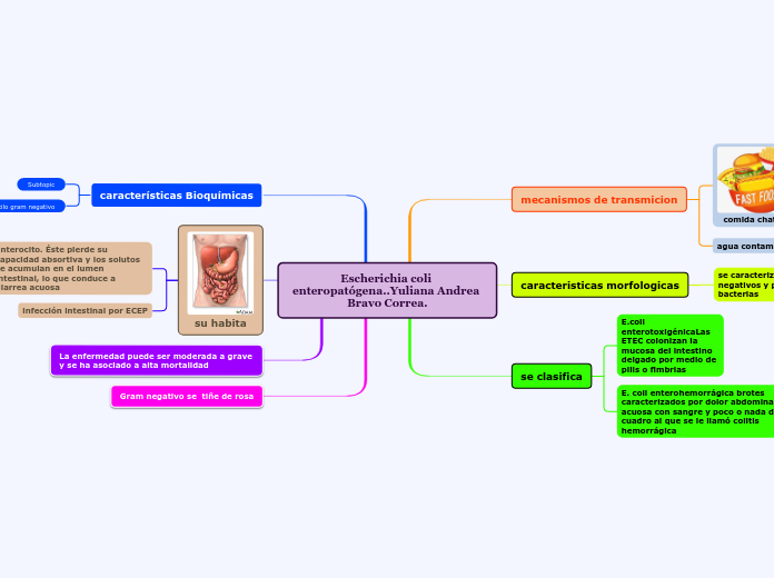Escherichia coli enteropatógena..Yuliana Andrea Bravo Correa.