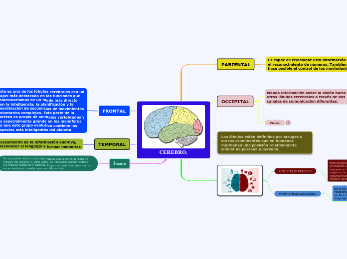 CEREBRO.