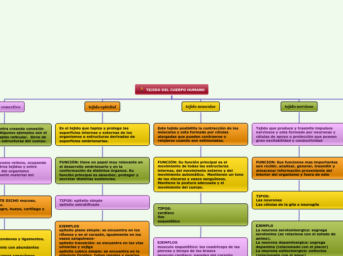 TEJIDO DEL CUERPO HUMANO