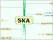 SKA 1