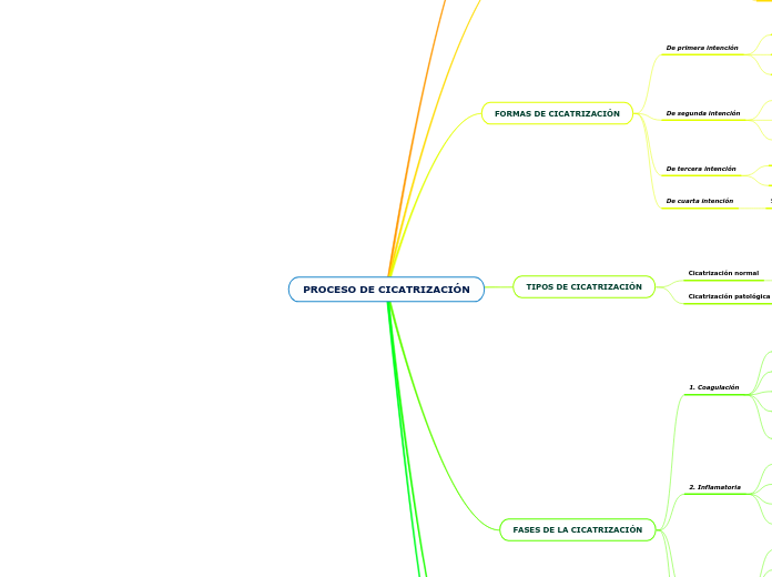 PROCESO DE CICATRIZACIÓN