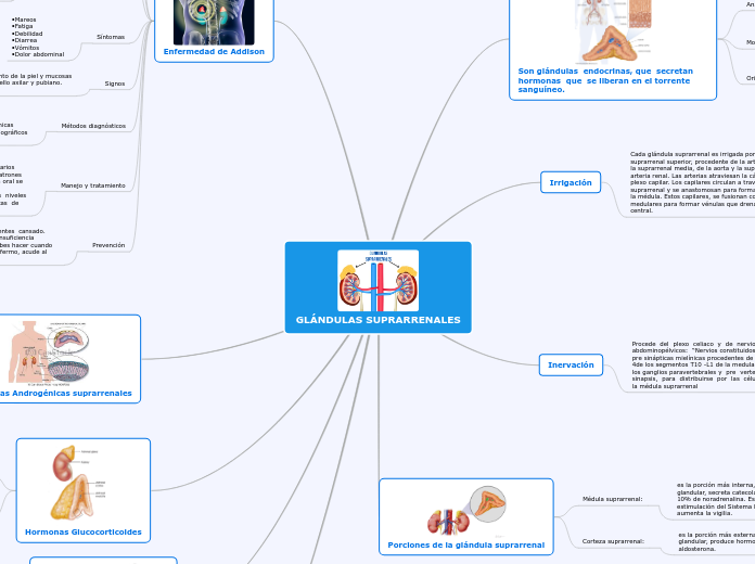 GLÁNDULAS SUPRARRENALES Y ENFERMEDAD DE ADDISON
