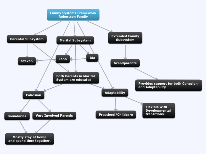 Family Systems Framework
Robertson Family