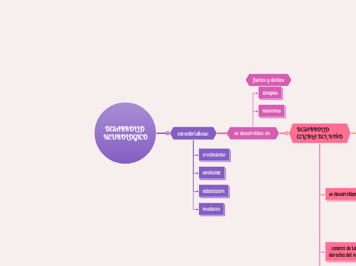 DESARROLLO NEUROLOGICO