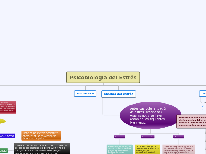 Organigrama arbol