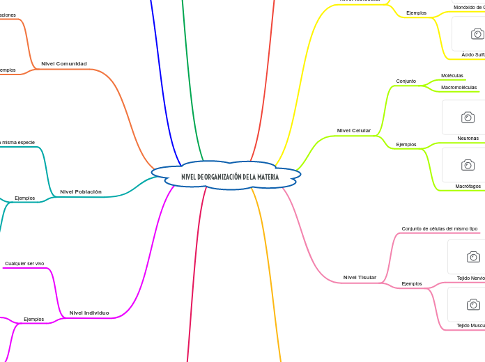NIVEL DE ORGANIZACIÓN DE LA MATERIA