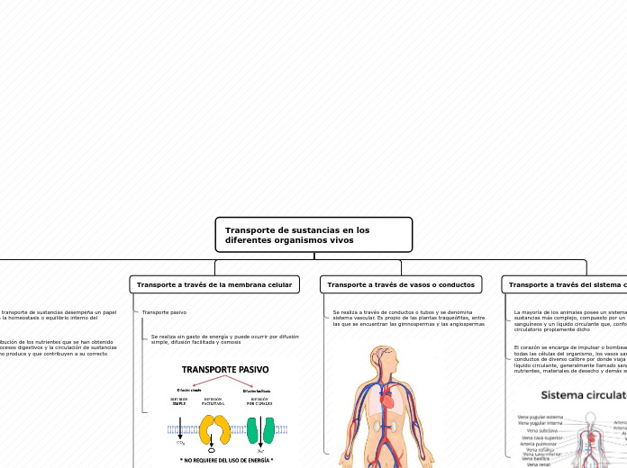 Transporte de sustancias en los diferentes organismos vivos