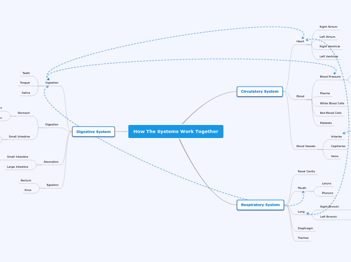 Concept Map- How The Systems Work Together