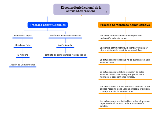 El control jurisdiccional de la actividad discrecional