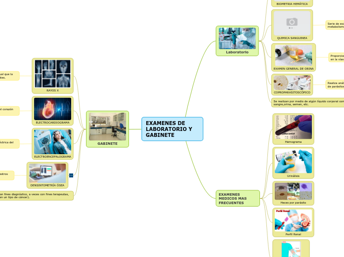 EXAMENES DE LABORATORIO Y GABINETE