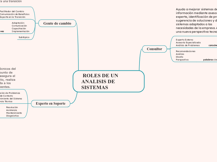  ROLES DE UN ANALISIS DE                       SISTEMAS