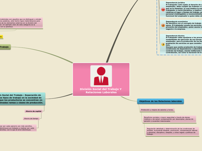 División Social del Trabajo Y Relaciones Laborales