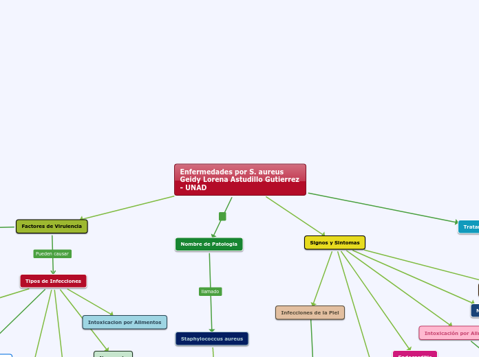 Enfermedades por S. aureus                   Geidy Lorena Astudillo Gutierrez - UNAD