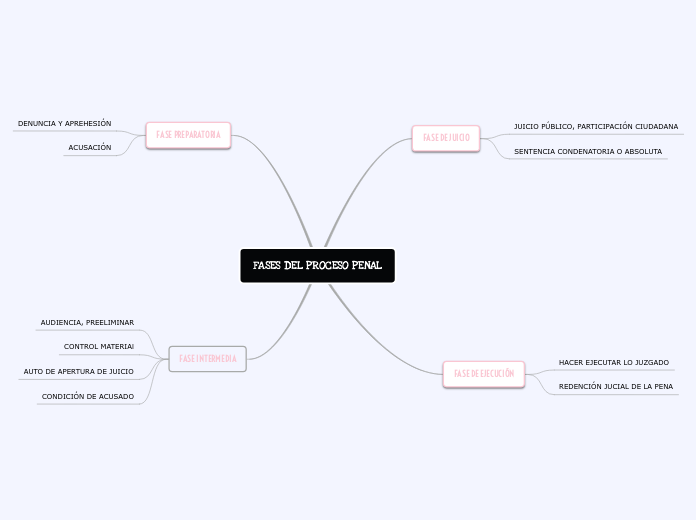 FASES DEL PROCESO PENAL