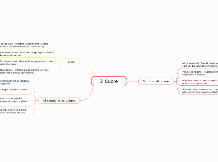 mappa_mentale_cuore