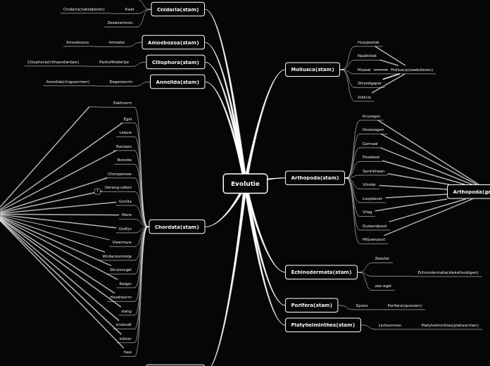 Evolutie Taxonomie? Youssra oufkir mindmap