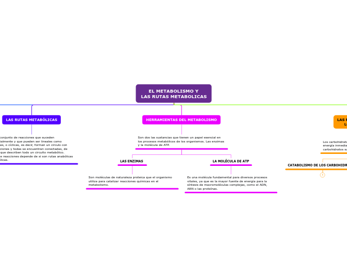     EL METABOLISMO Y 
LAS RUTAS METABOLICAS

