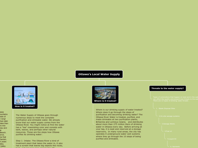 Tree organigram