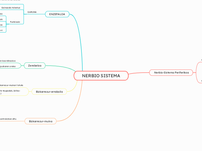 NERBIO SISTEMA