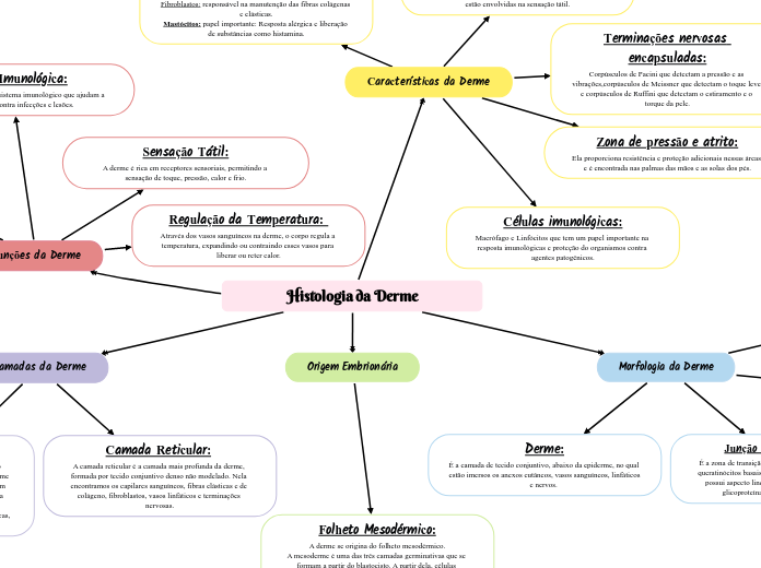 Histologia da Derme