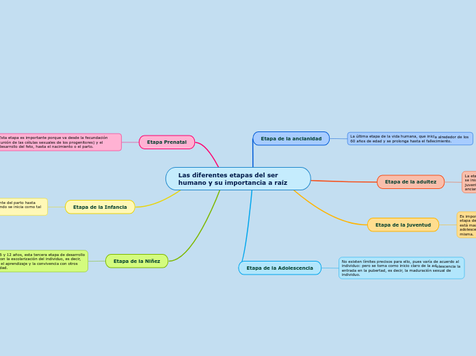 Las diferentes etapas del ser humano y su importancia a raíz