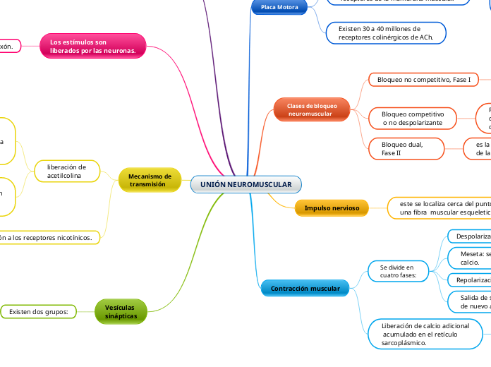 UNIÓN NEUROMUSCULAR