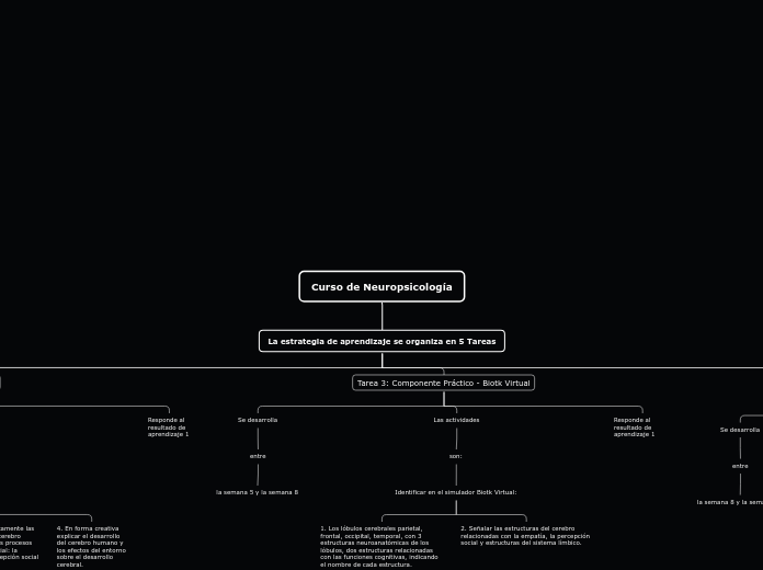 Curso de Neuropsicología