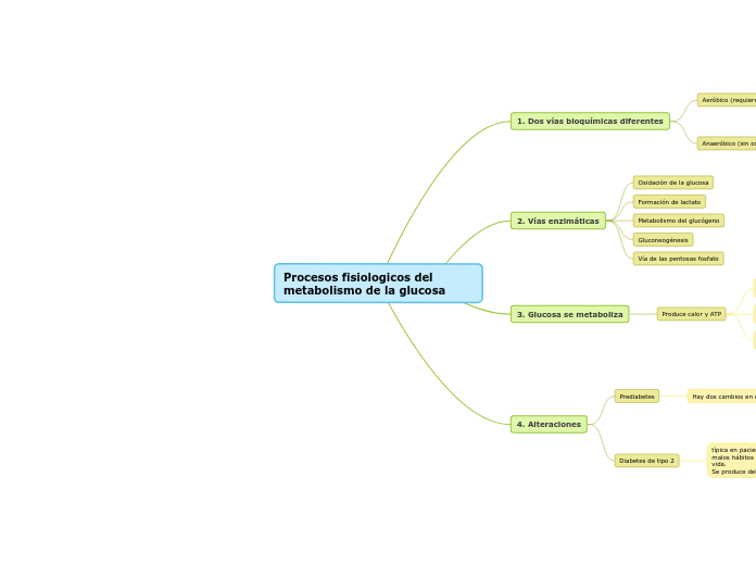 Procesos fisiologicos del metabolismo de la glucosa