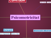 Psicomotricitat